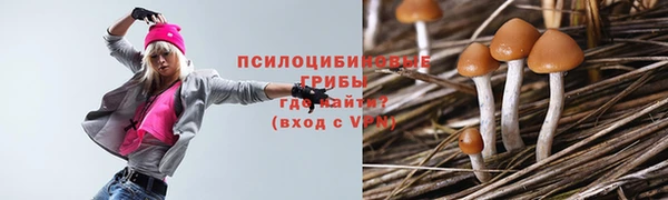 кристаллы Богородск