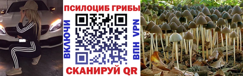 hydra как войти  Среднеуральск  Галлюциногенные грибы GOLDEN TEACHER 